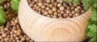 🌞 Natural Ways to Beat the Summer Heat with Kitchen Seeds